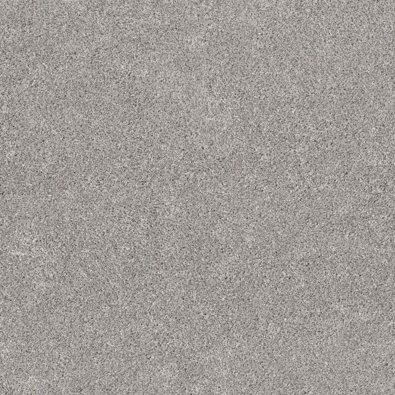 Shaw Floors Pet Perfect Plus Calm Serenity II Split Sediment