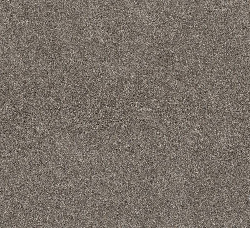 Shaw Floors Pet Perfect Plus Calm Simplicity II Desert View