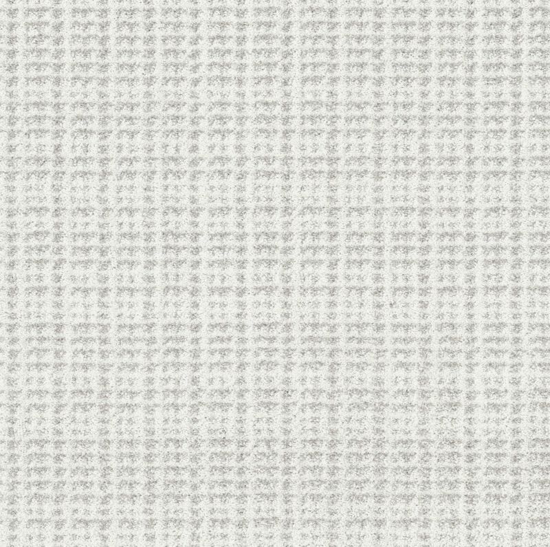 Shaw Floors Pet Perfect Plus Charming Transition Snow Cap