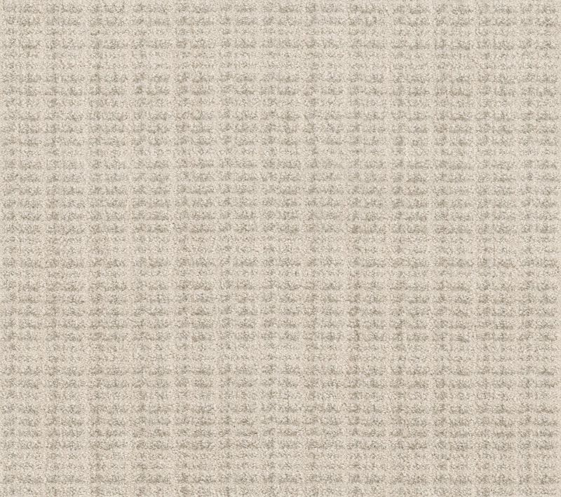 Shaw Floors Pet Perfect Plus Charming Transition Washed Linen