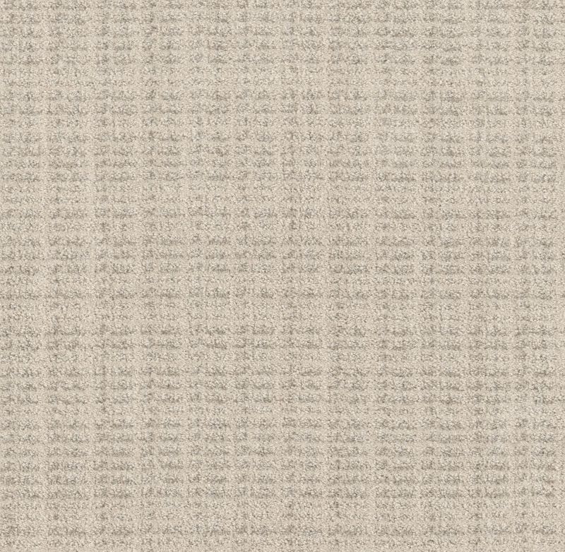 Shaw Floors Pet Perfect Plus Charming Transition Shoreline