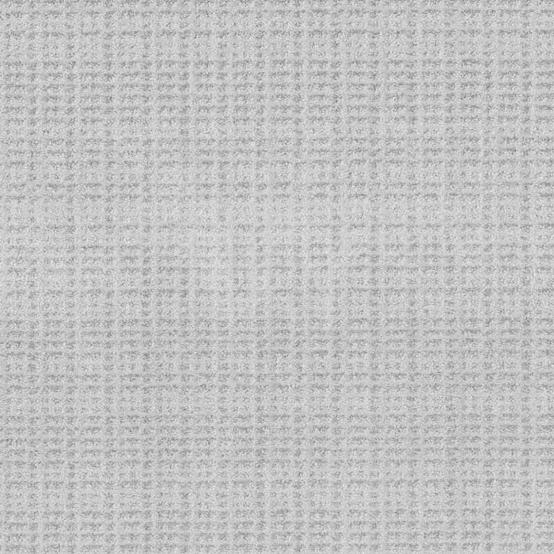 Shaw Floors Pet Perfect Plus Charming Transition Reflection