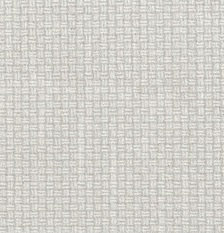 Shaw Floors Pet Perfect Plus Soothing Surround Snow Cap