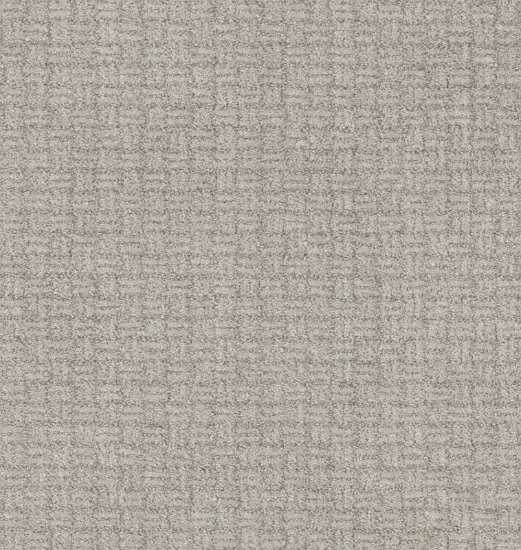 Shaw Floors Pet Perfect Plus Soothing Surround Split Sediment