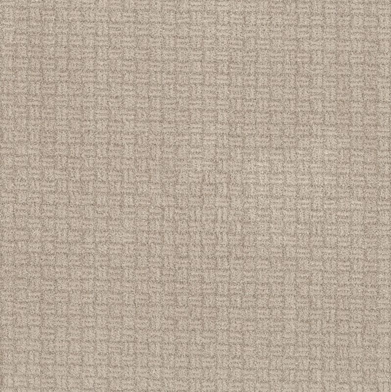 Shaw Floors Pet Perfect Plus Soothing Surround Desert View