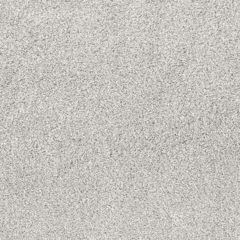 Shaw Floors Pet Perfect Plus Quiet Sanctuary Snow Cap