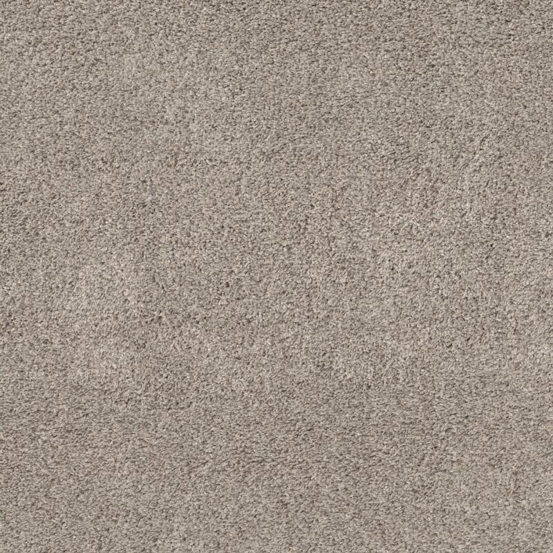 Shaw Floors Pet Perfect Plus Quiet Sanctuary Kidskin