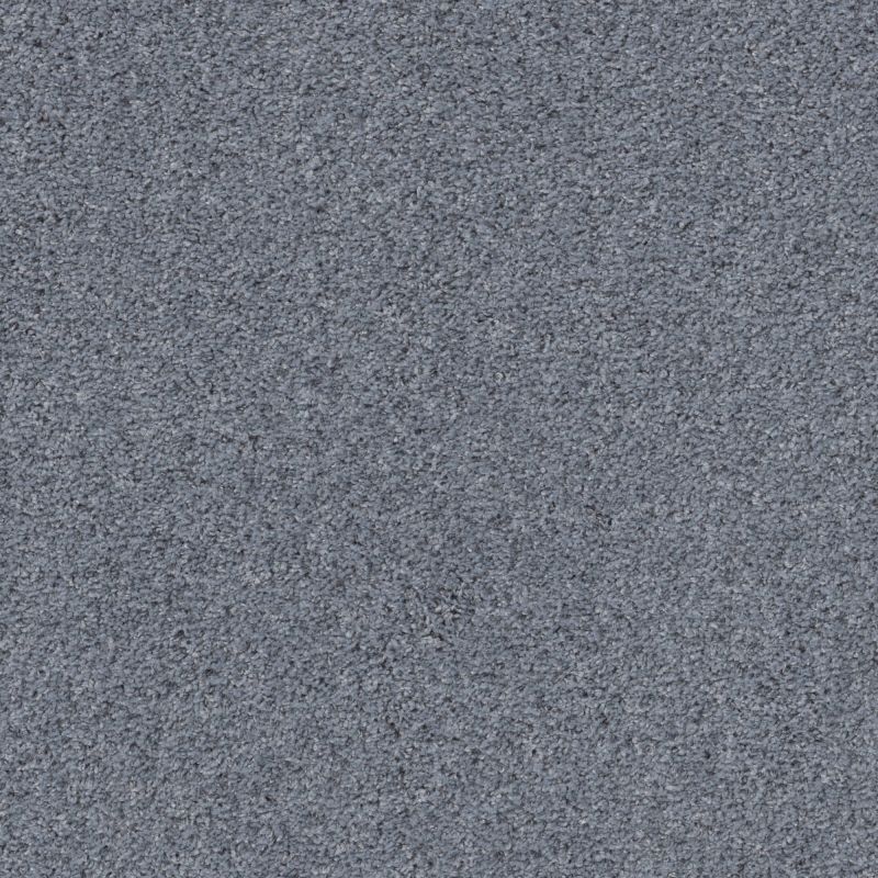 Shaw Floors Pet Perfect Plus Quiet Sanctuary Thundered Steel