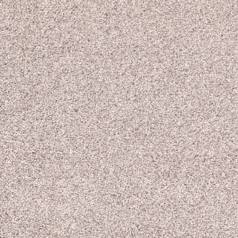 Shaw Floors Pet Perfect Plus Quiet Sanctuary Muted Blush