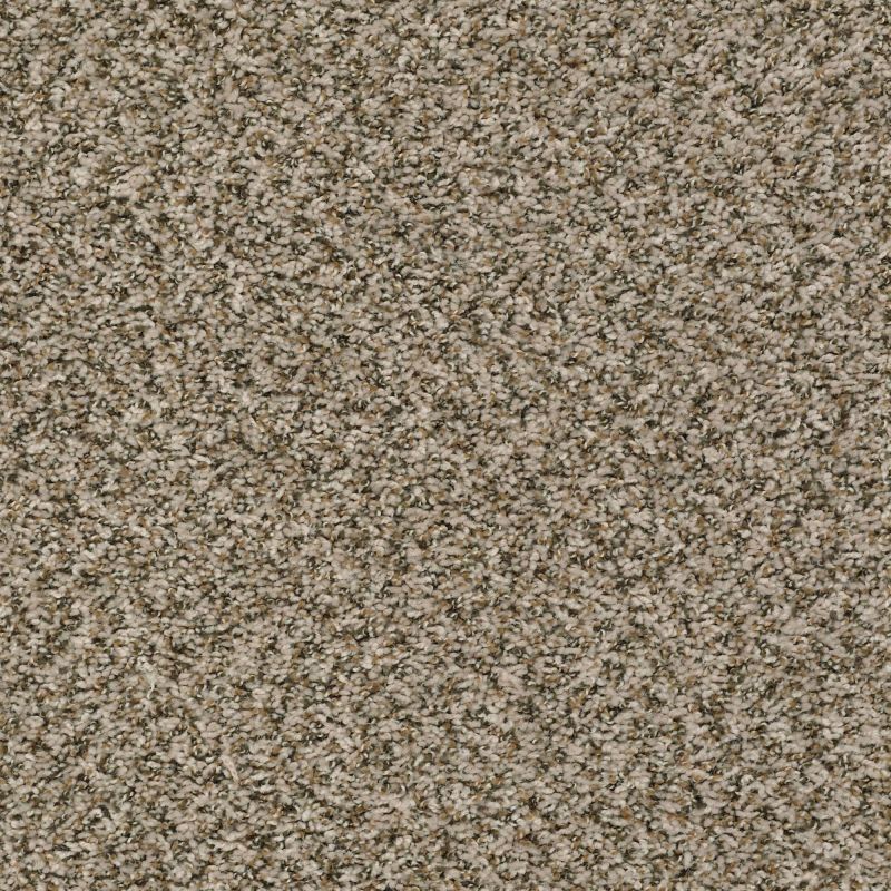 Shaw Floors Value Collections Break Away (b) Net Burlap