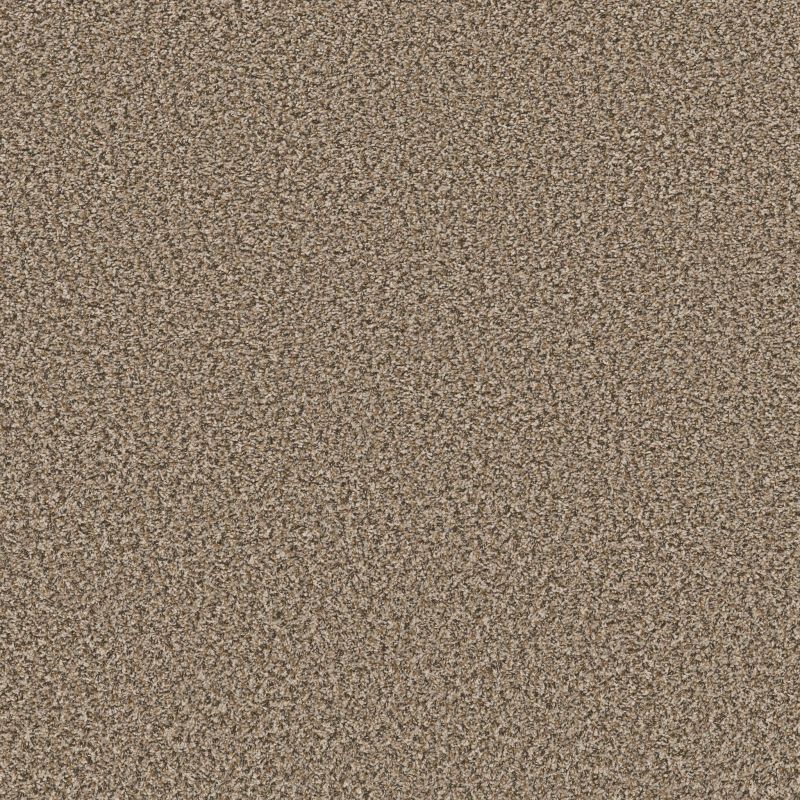 Shaw Floors Value Collections Break Away (b) Net Suede Buff