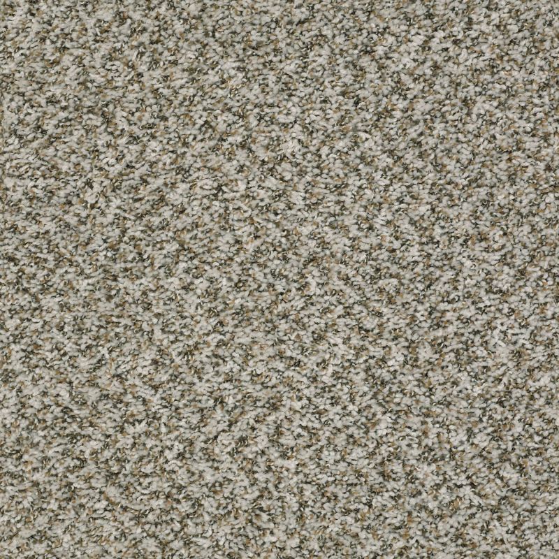 Shaw Floors Value Collections Break Away (b) Net Clam Shell