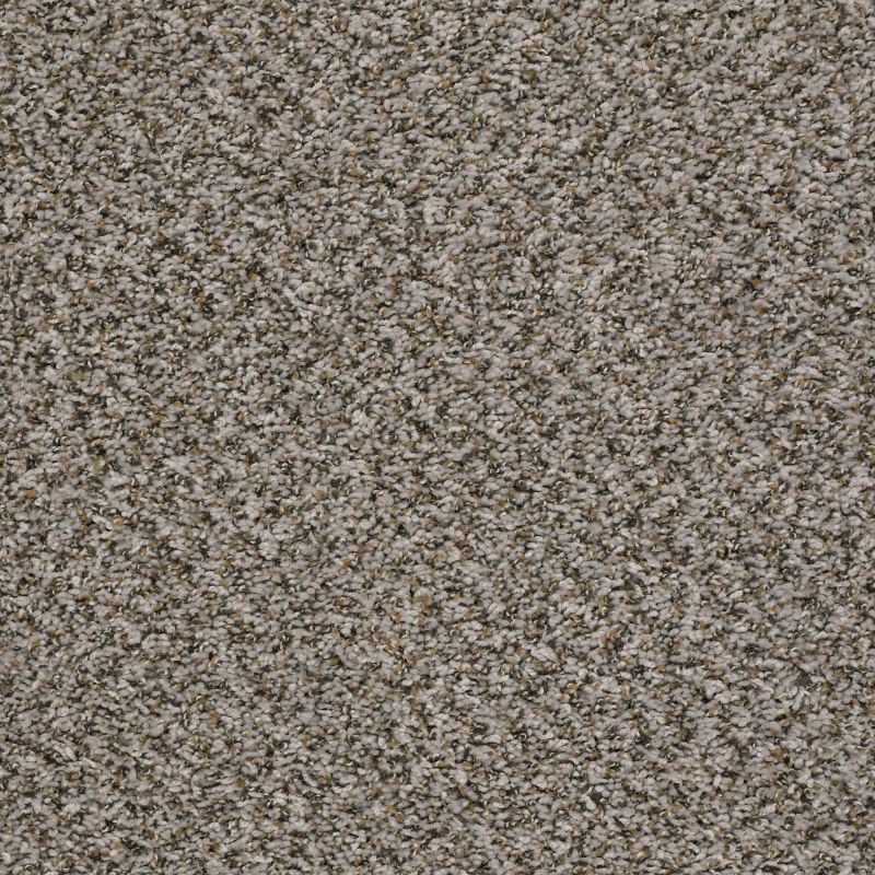 Shaw Floors Value Collections Break Away (b) Net Sweet Taupe