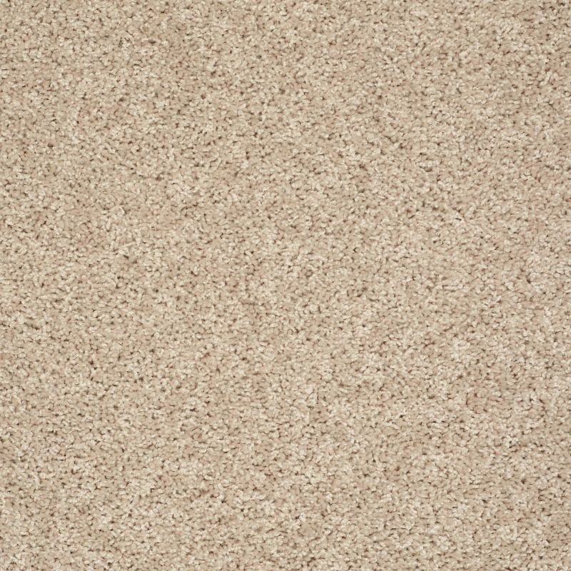 Shaw Floors Value Collections Break Away (s) Net Gentle Breeze