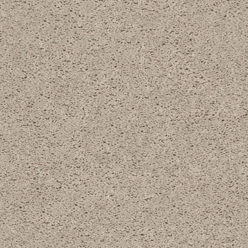 Shaw Floors Value Collections Break Away (s) Net Ecru