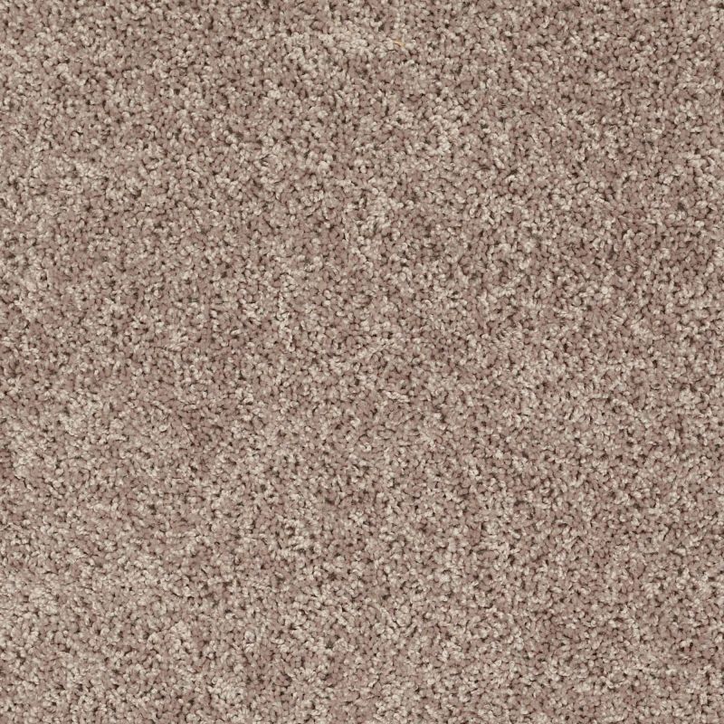 Shaw Floors Value Collections Break Away (s) Net Natural Tan