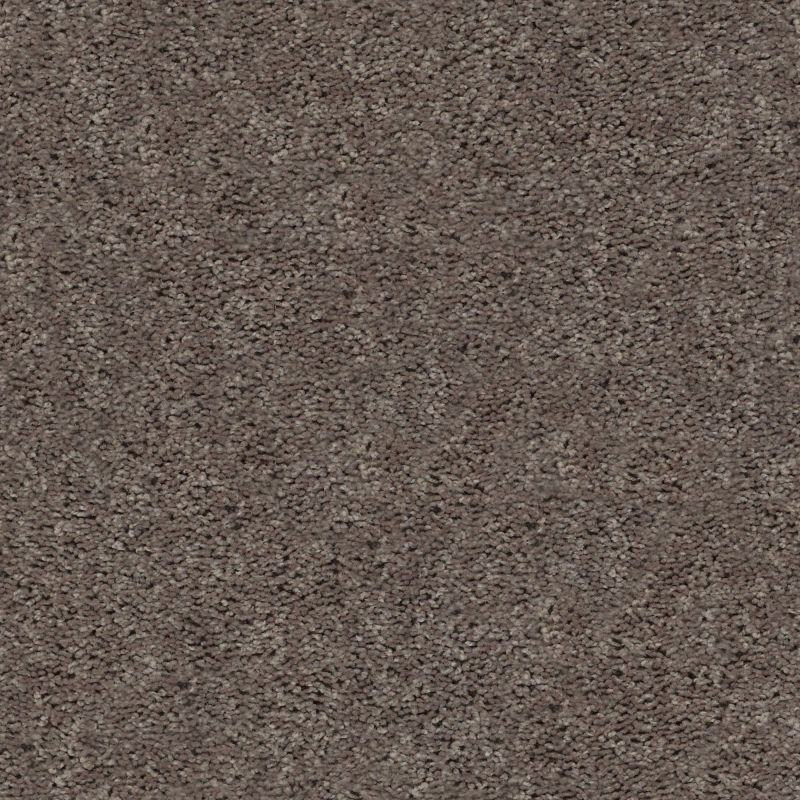 Shaw Floors Value Collections Break Away (s) Net Weathered Wood