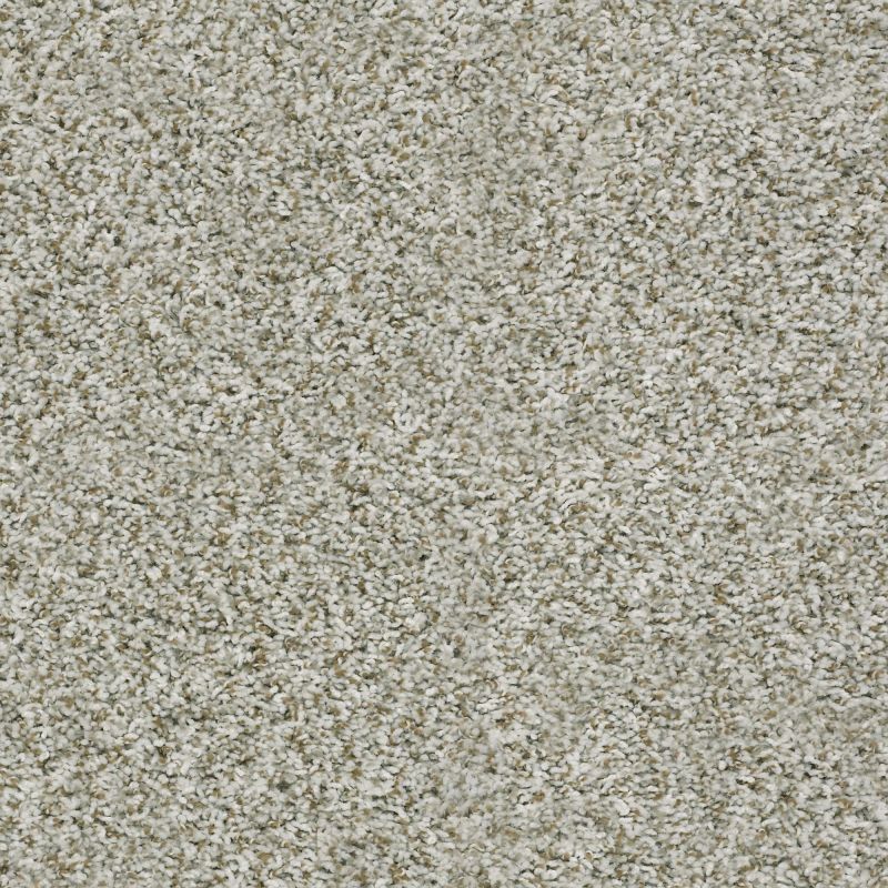 Shaw Floors Value Collections Break Away (t) Net Snow Peak