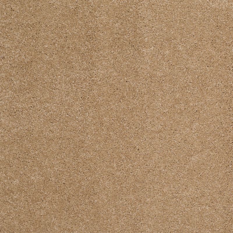 Shaw Floors Value Collections Cashmere Classic III Net Brass Lantern