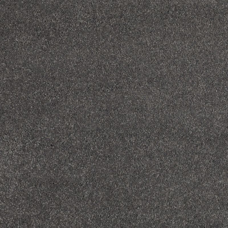 Shaw Floors Value Collections Cashmere Classic III Net Armory
