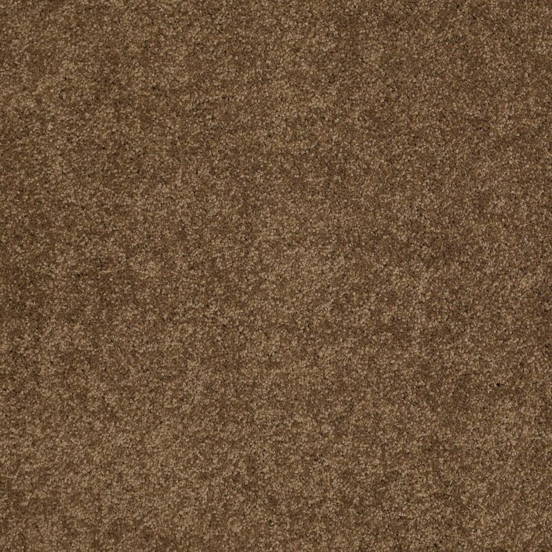 Shaw Floors Value Collections Cashmere Classic III Net Tobacco Leaf