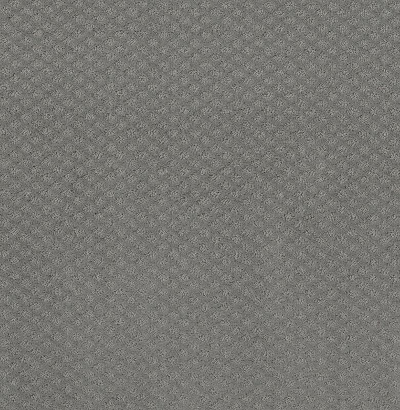 Shaw Floors Foundations Formalize Net Grey Fox