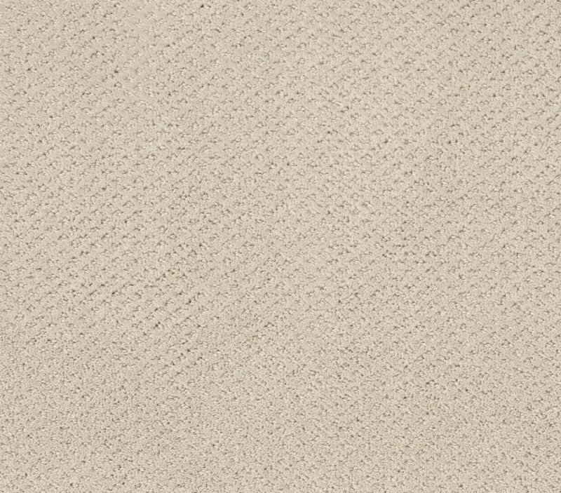 Shaw Floors Foundations Mainstay Net Washed Linen