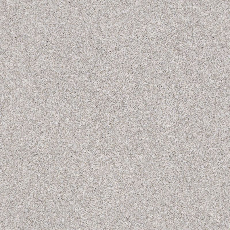 Shaw Floors Just Right I Soft Fleece