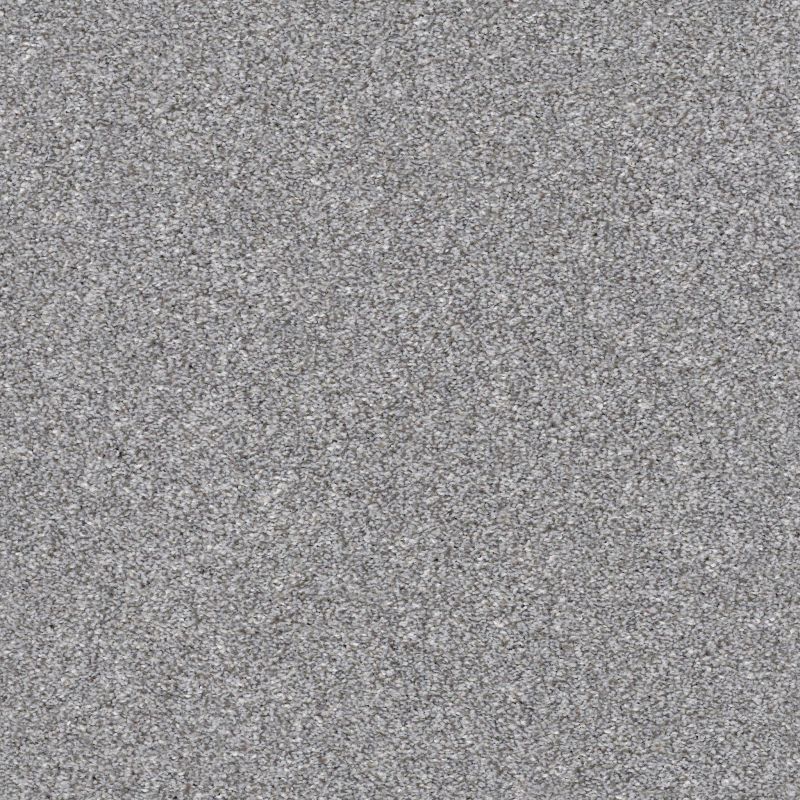 Shaw Floors Just Right I Arctic Shadow