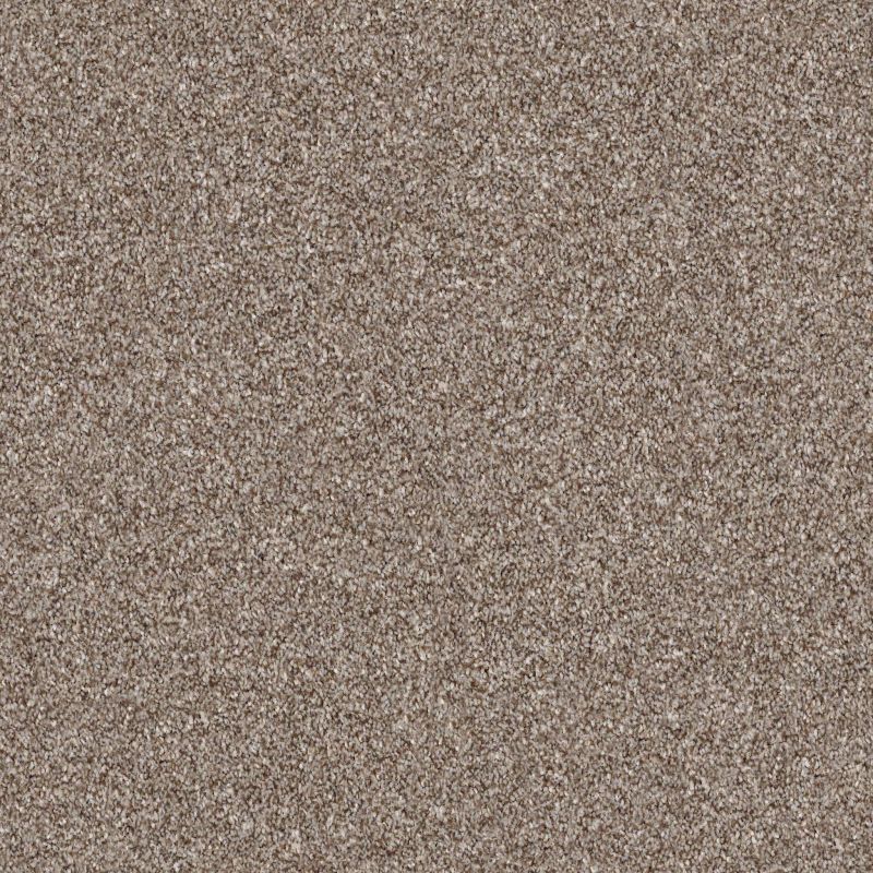 Shaw Floors Just Right I Fox Hollow