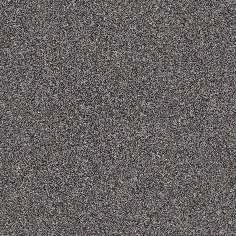 Shaw Floors Just Right I Mocha