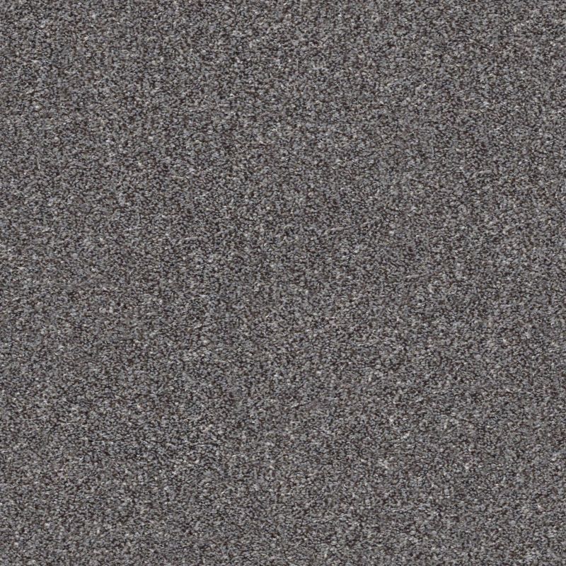 Shaw Floors Just Right II Mocha