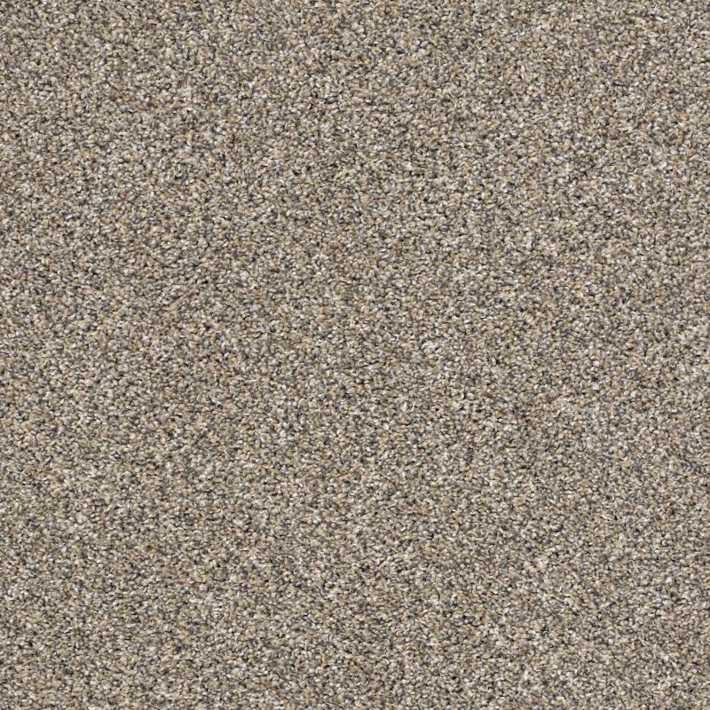 Shaw Floors Captured II Pebble Walk