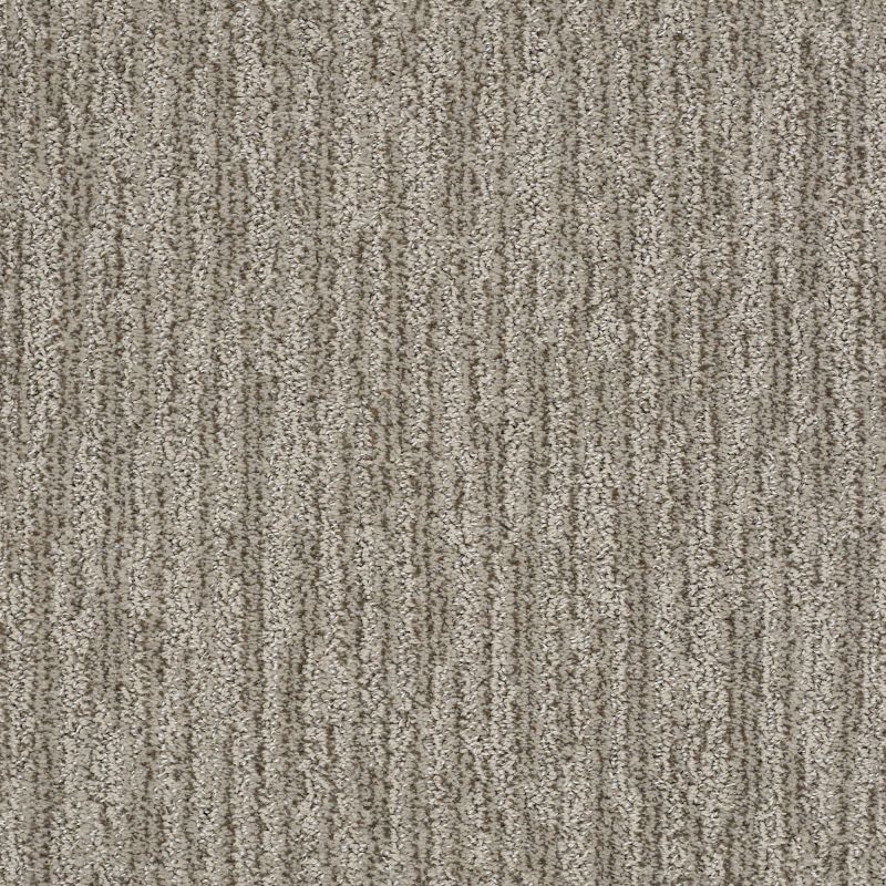 Shaw Floors Simply The Best Easy Fit Net Mesa