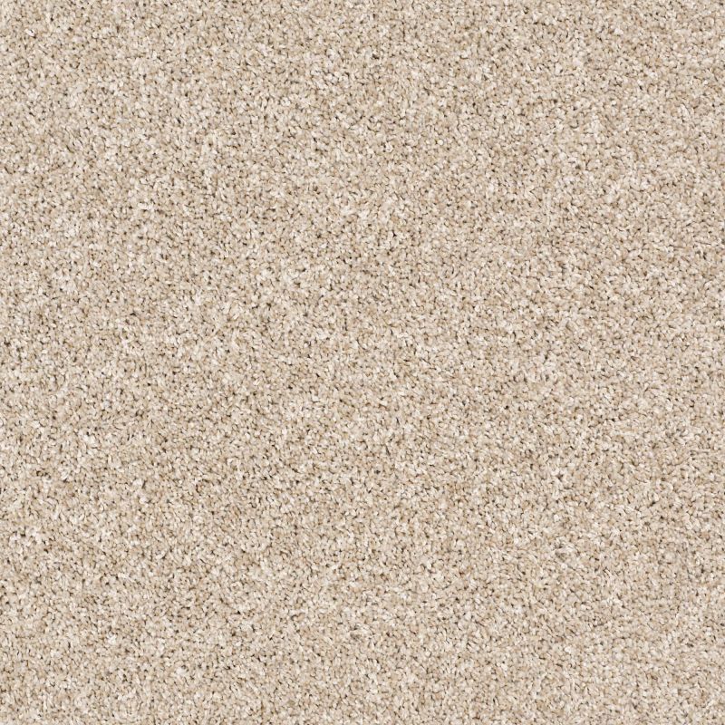 Shaw Floors Simply The Best After It II Net Sand Castle