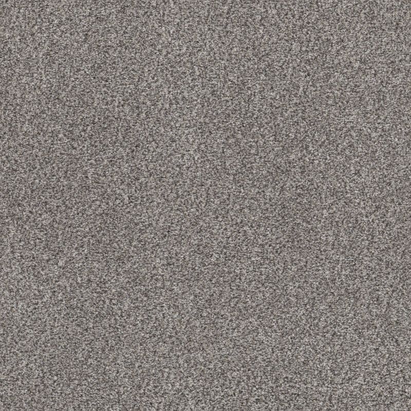 Shaw Floors Simply The Best Within Reach II Net Serene Still