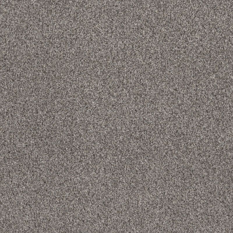 Shaw Floors Simply The Best Within Reach II Net Shoreline