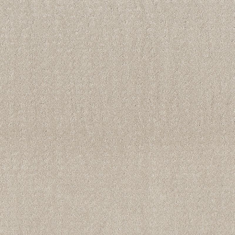 Shaw Floors Foundations Chic Nuance Serene Still