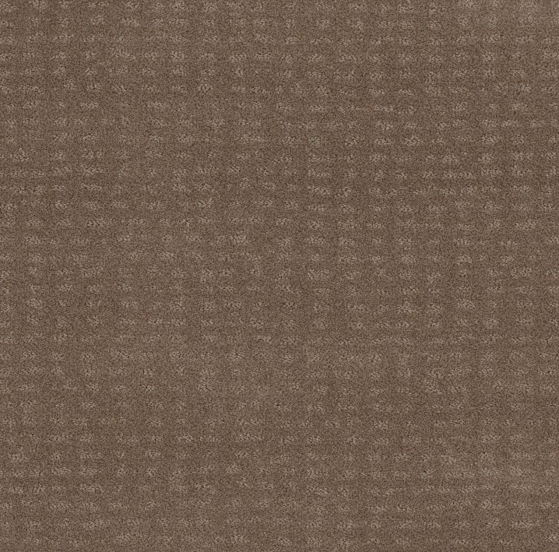 Shaw Floors Foundations Chic Nuance Raw Wood