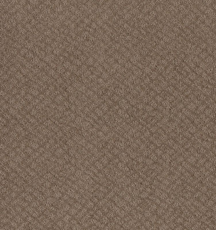 Shaw Floors Foundations Chic Shades Raw Wood