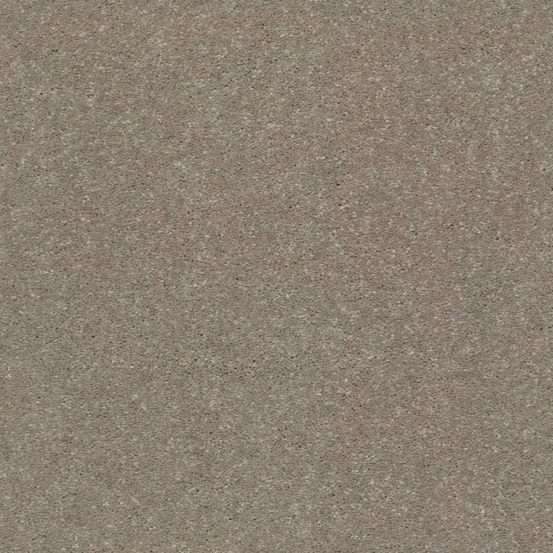 Shaw Floors Value Collections Solidify III 15 Net Natural Contour