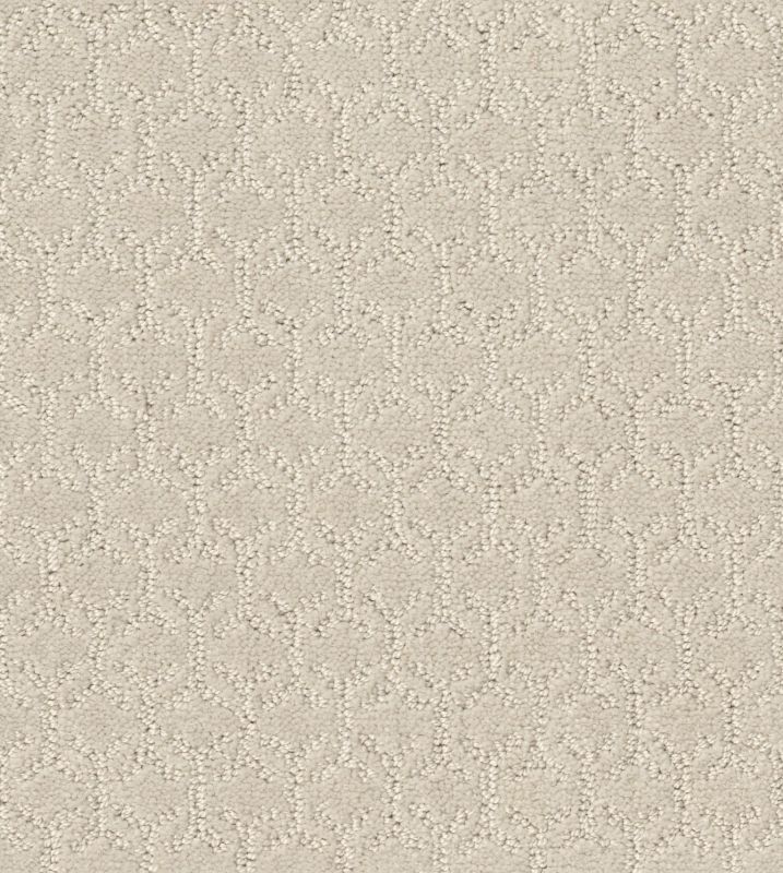 Shaw Floors Simply The Best Valid Net Pearl