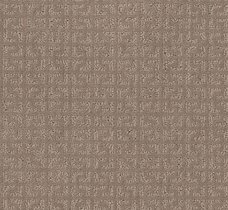 Shaw Floors Simply The Best Vastly Net Shadow