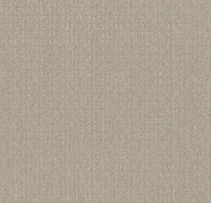 Shaw Floors Simply The Best Transform Net Oatmeal