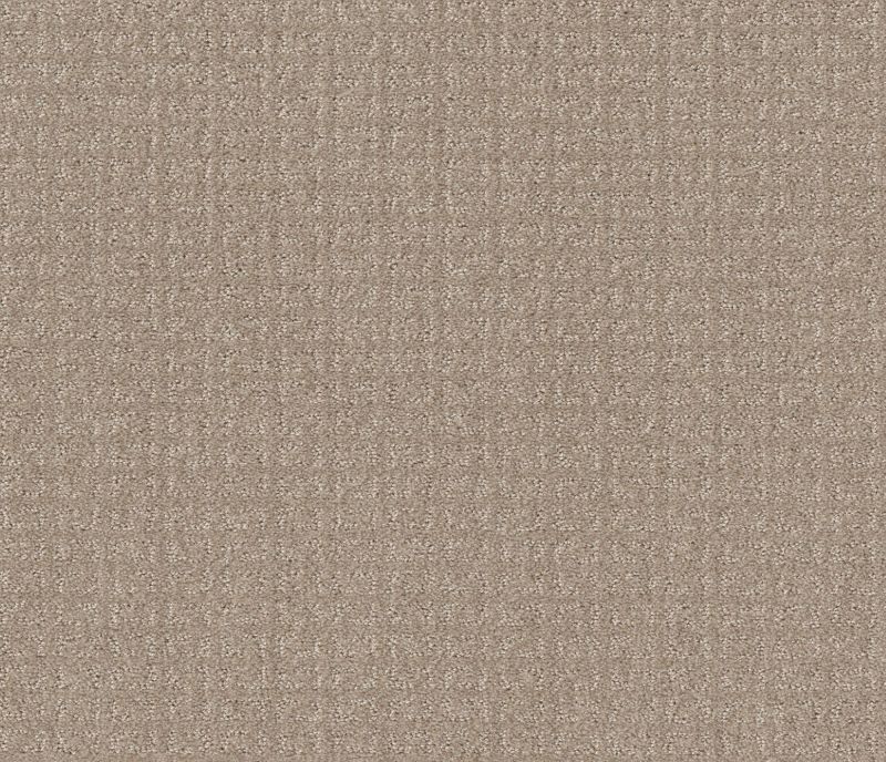 Shaw Floors Simply The Best Transform Net Sand Swept