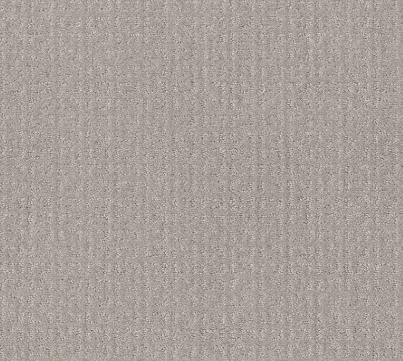 Shaw Floors Simply The Best Transform Net Feather