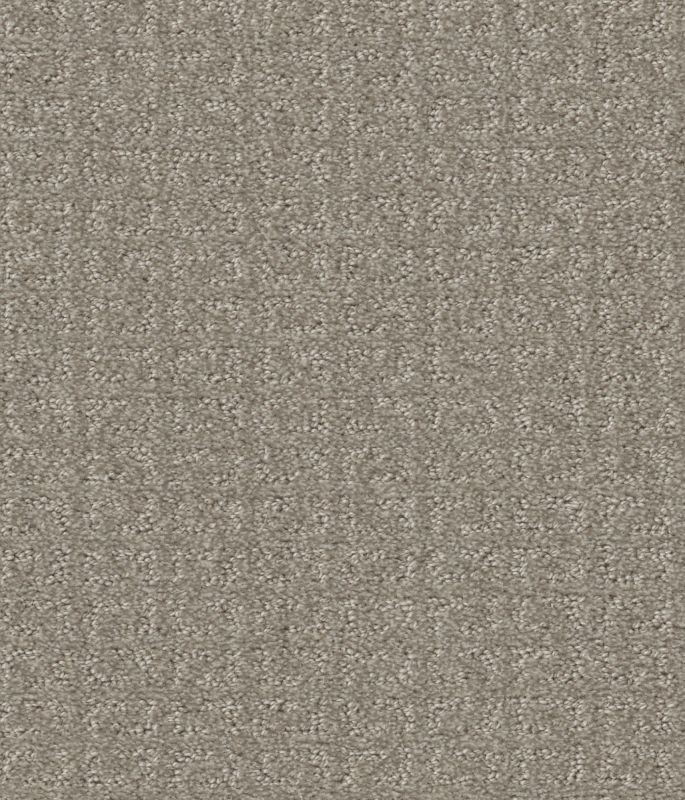 Shaw Floors Simply The Best Transform Net Fossil