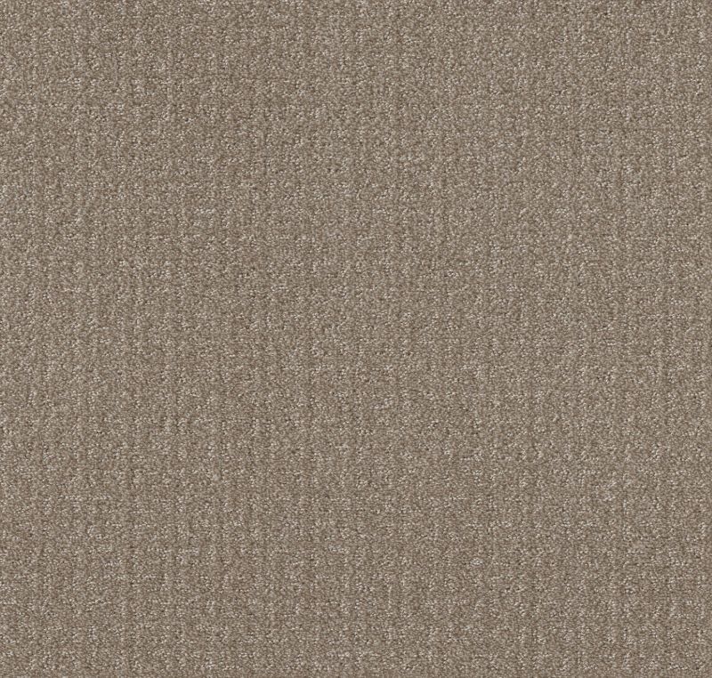 Shaw Floors Simply The Best Transform Net Simply Tan