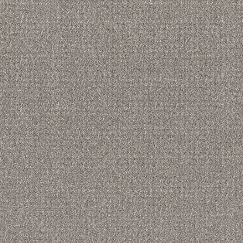 Shaw Floors Simply The Best Translate Net Steel Beam
