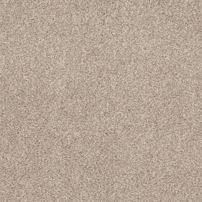 Shaw Floors Pet Perfect Plus Calm Serenity I Net Kidskin